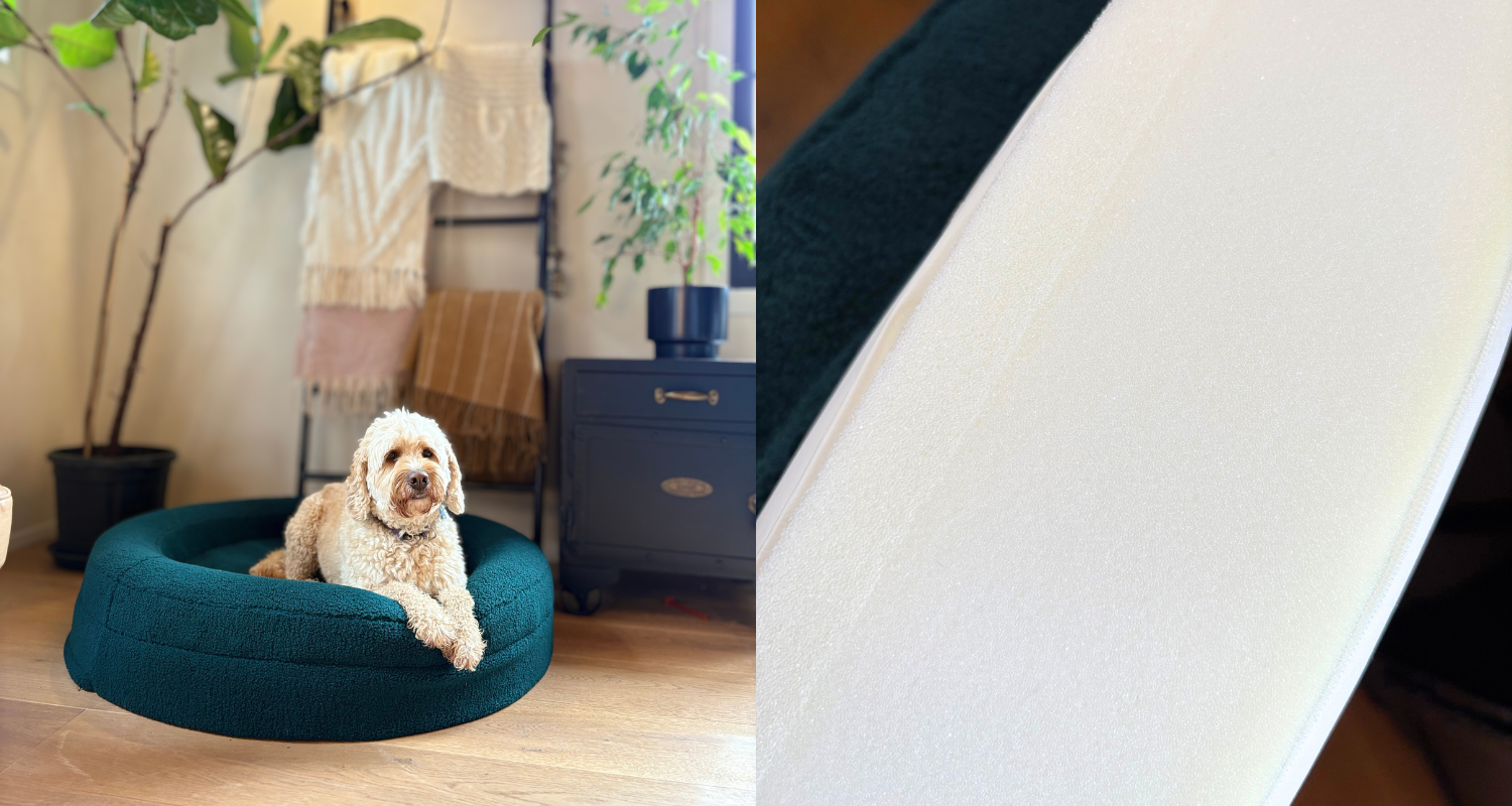 Orthopaedic vs Memory Foam Dog Beds: What’s the Difference?