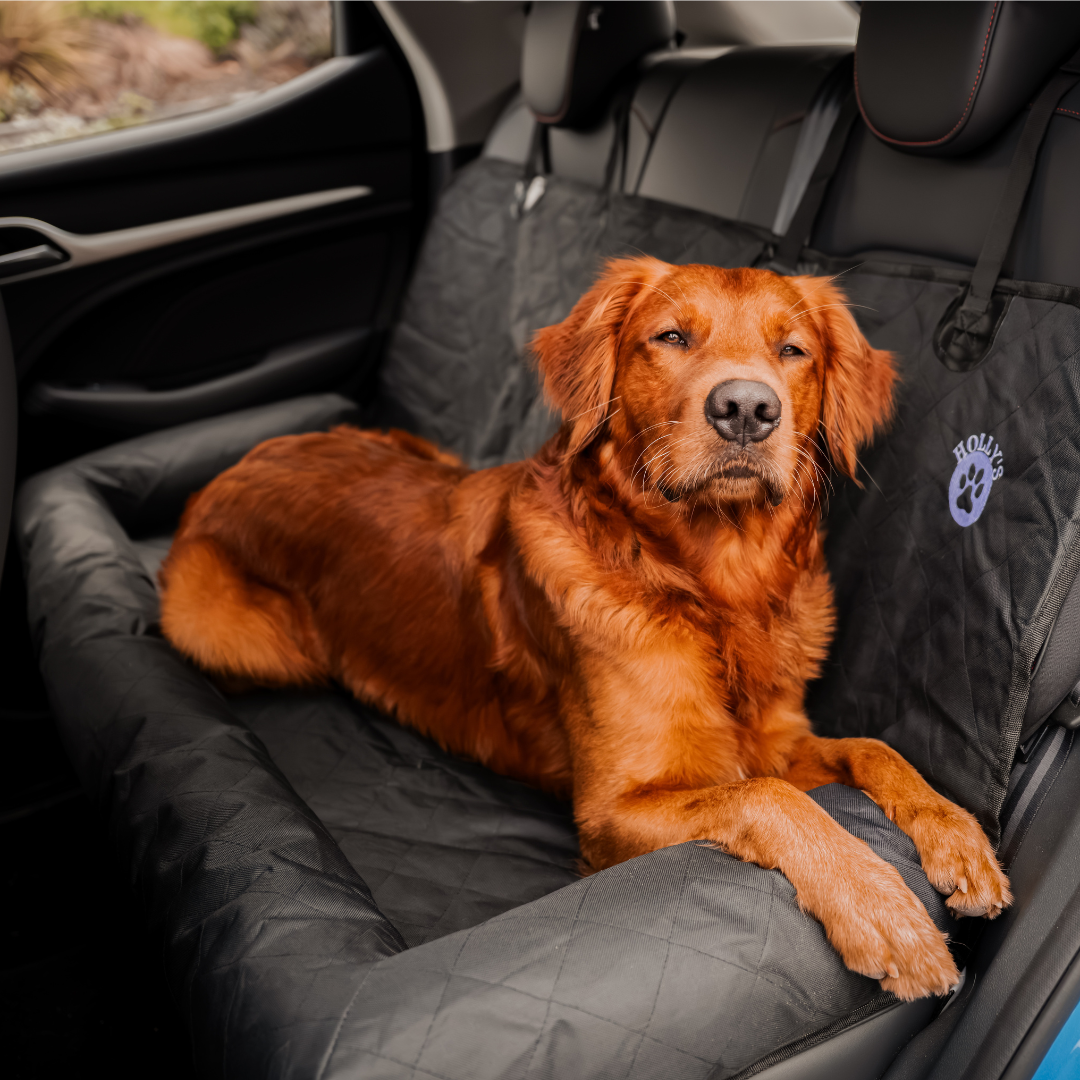 Car Seat Cover