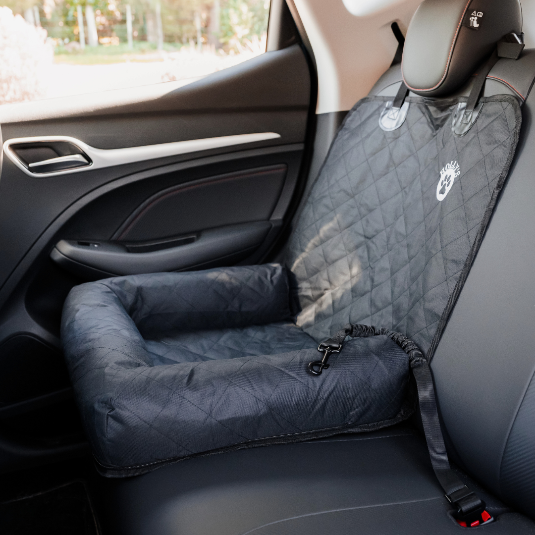 Car Seat Cover