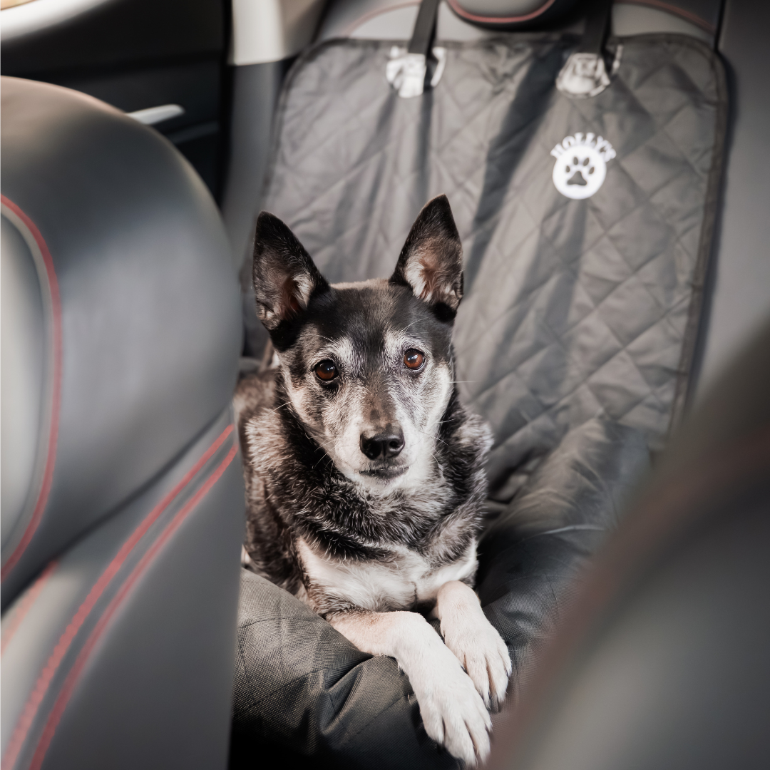 Car Seat Cover