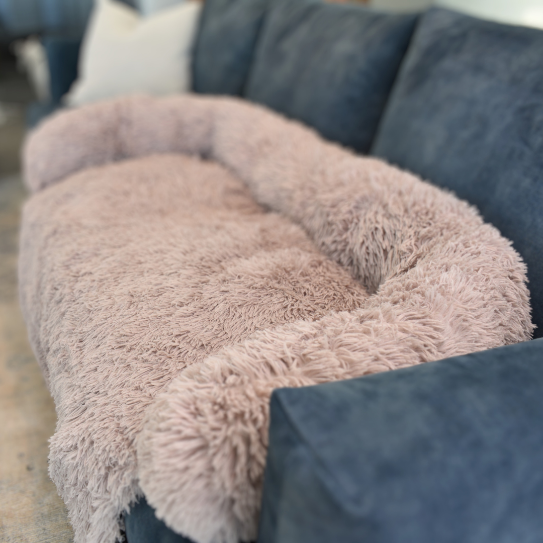 Calming Couch Bed