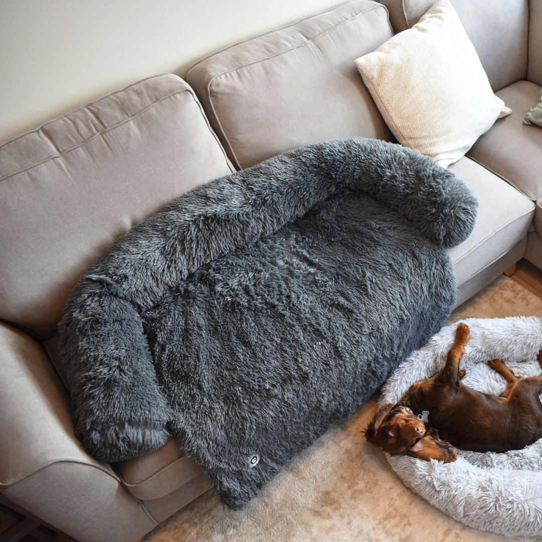 Calming Couch Bed