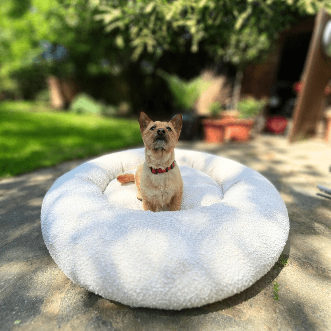 Bouclé Doughnut Bed - Holly's Paws