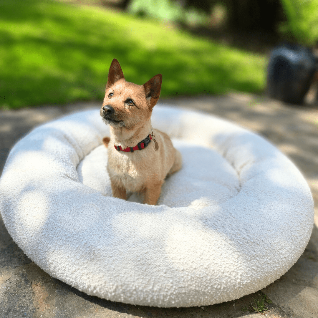 Bouclé Doughnut Bed - Holly's Paws