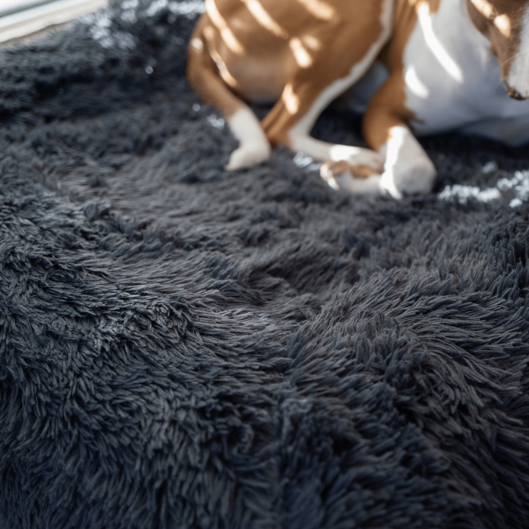 Calming Cover - Holly's Paws