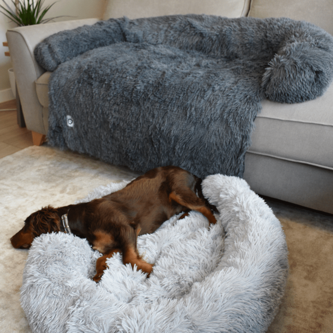 Calming Doughnut Bed - Holly's Paws
