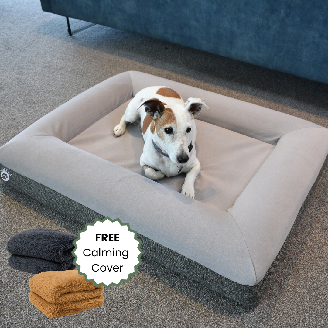 Orthopaedic Memory Foam Bed