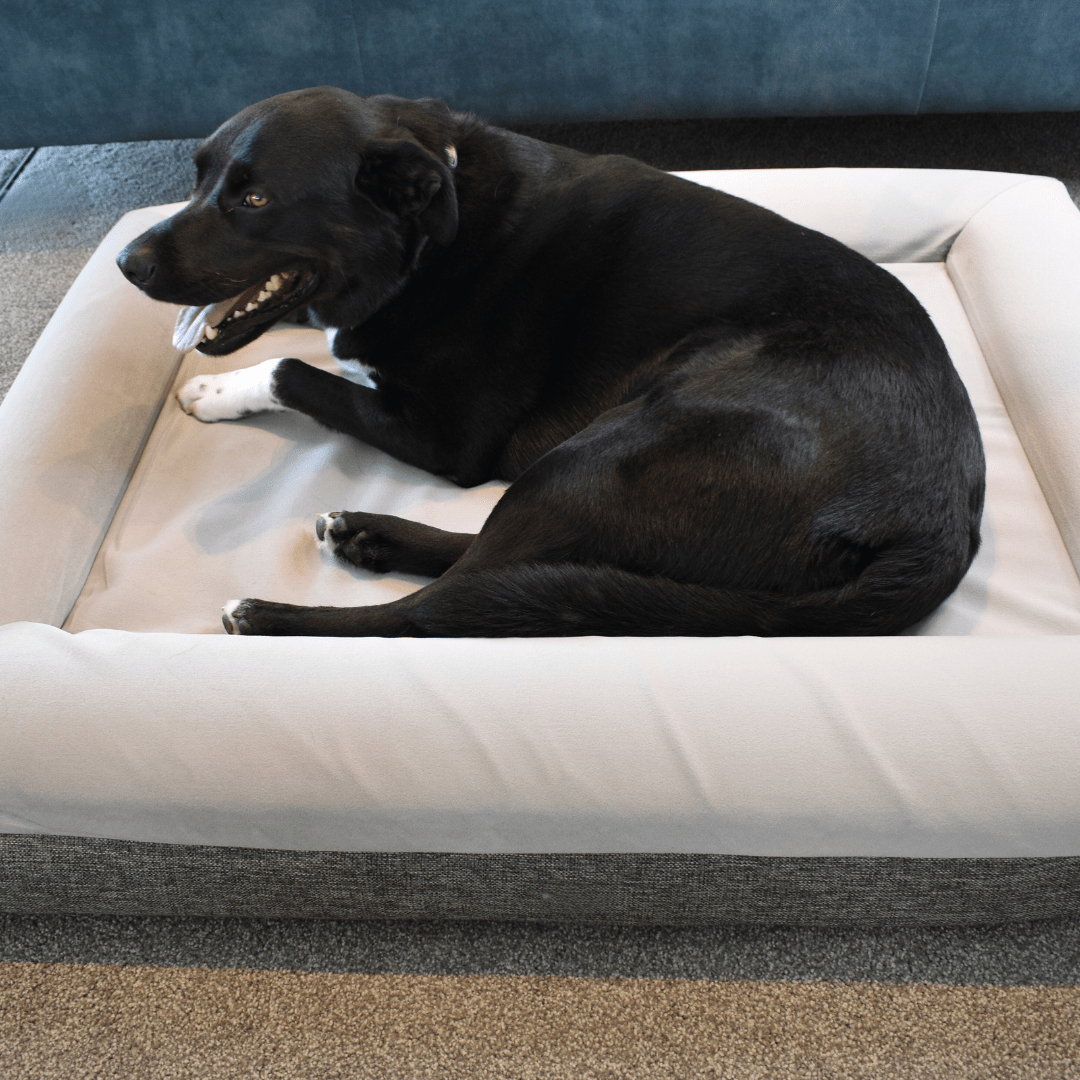 Orthopaedic Memory Foam Bed - Holly's Paws
