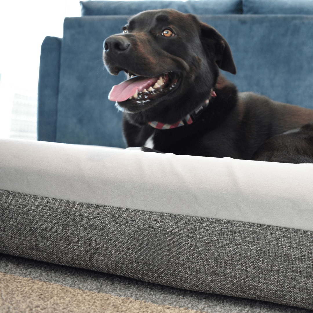 Orthopaedic Memory Foam Bed - Holly's Paws
