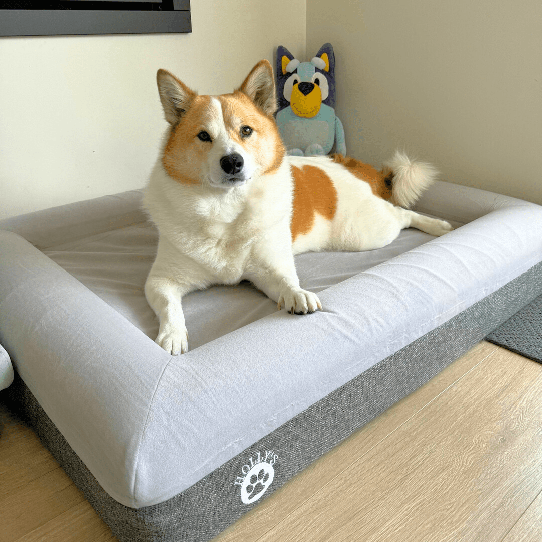 Orthopaedic Memory Foam Bed - Holly's Paws