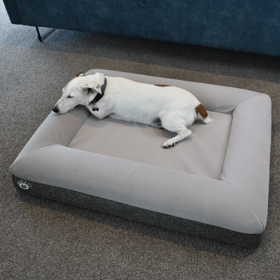 (Spare Cover) Orthopaedic Memory Foam Bed - Holly's Paws
