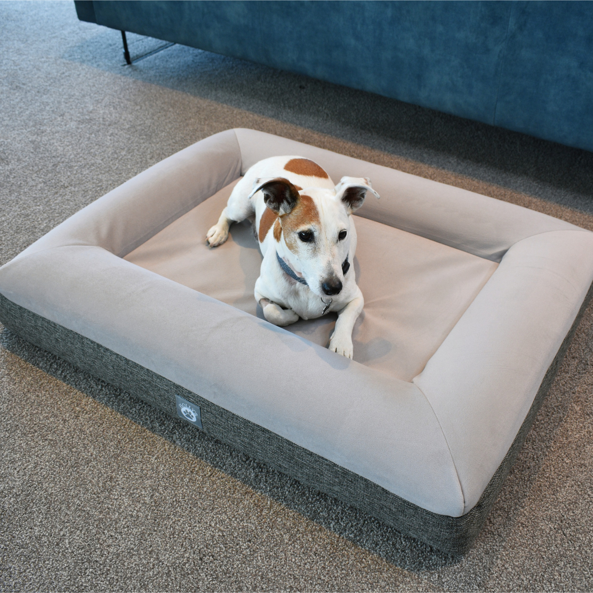 Foam bed for dogs best sale