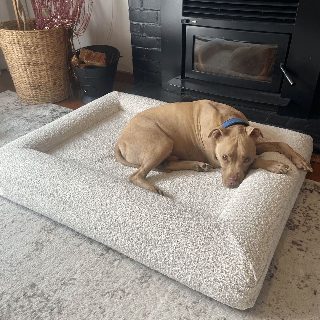 Bouclé Cover - Holly's Paws