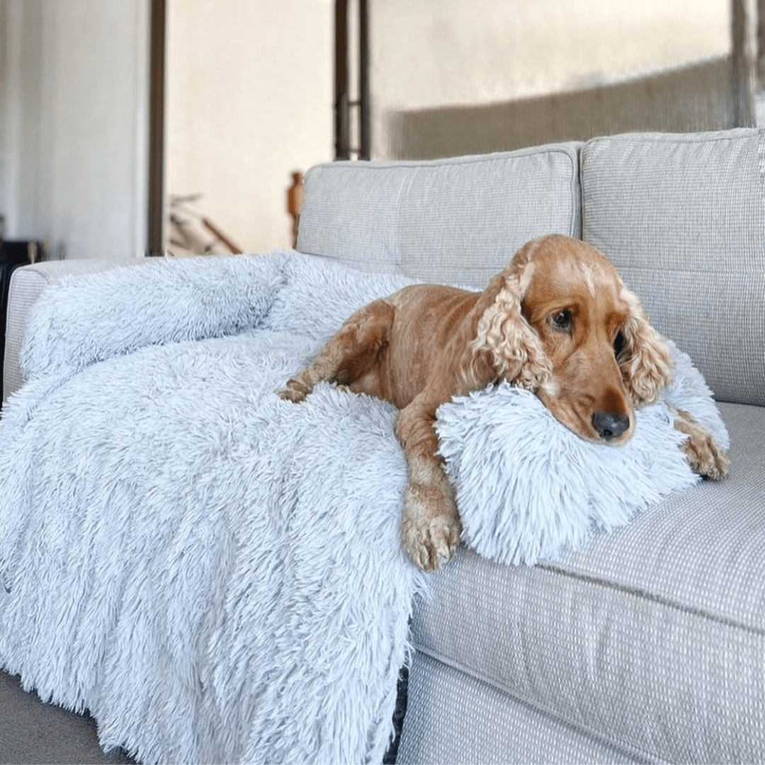Calming Couch Bed - Holly's Paws