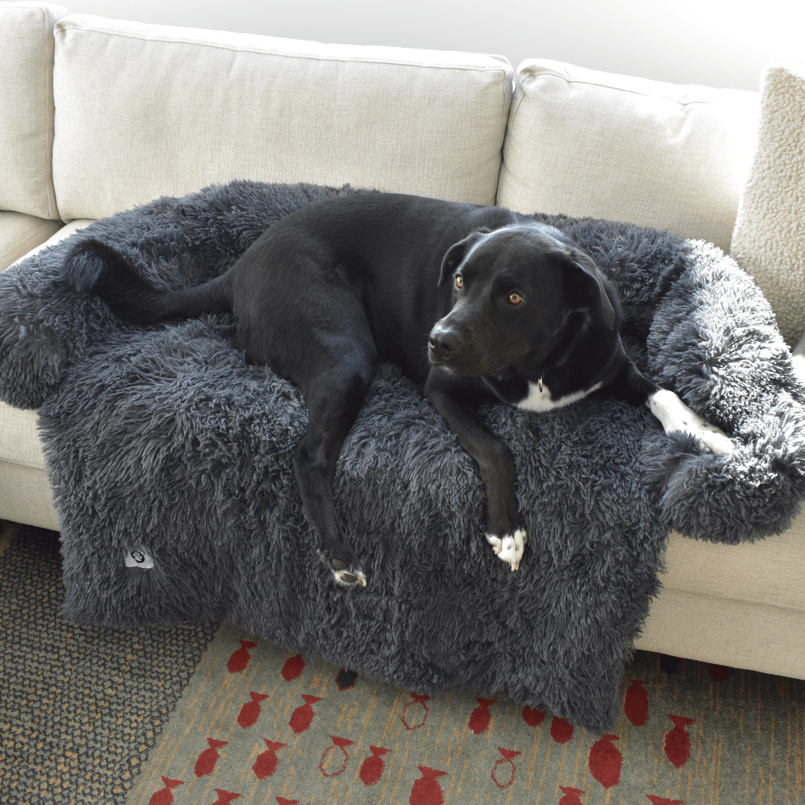 Calming Couch Bed - Holly's Paws