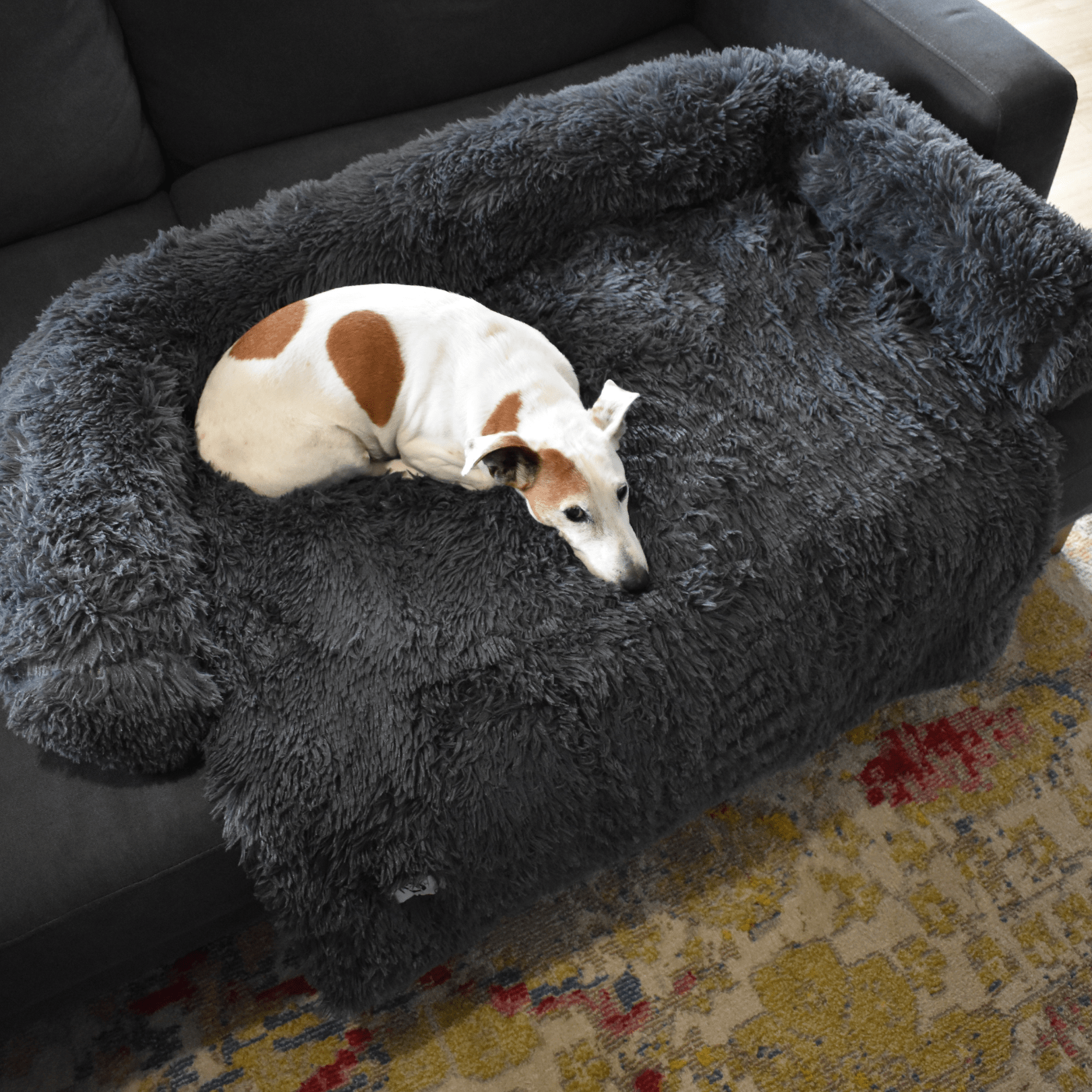 Calming Couch Bed - Holly's Paws