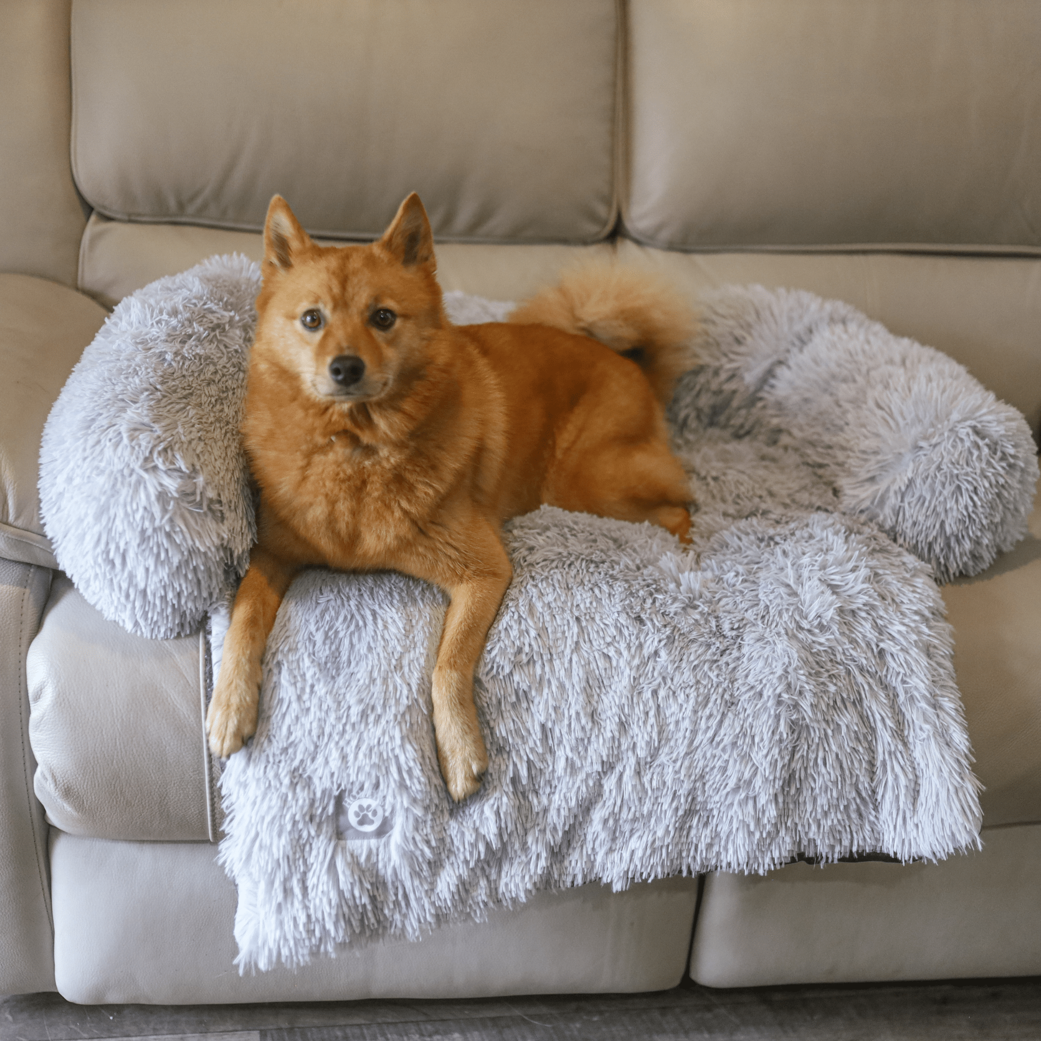 Calming Couch Bed - Holly's Paws