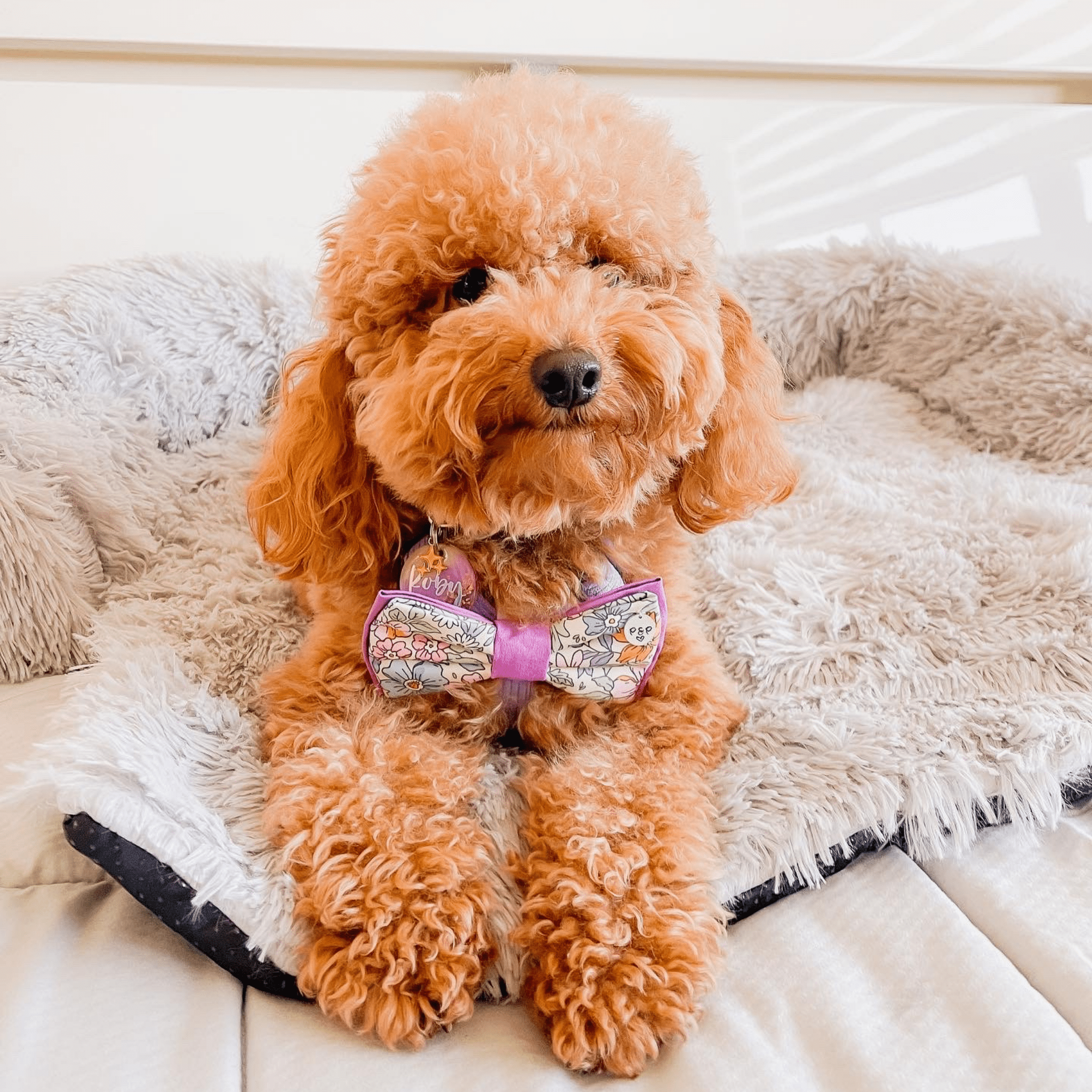 Calming Couch Bed - Holly's Paws