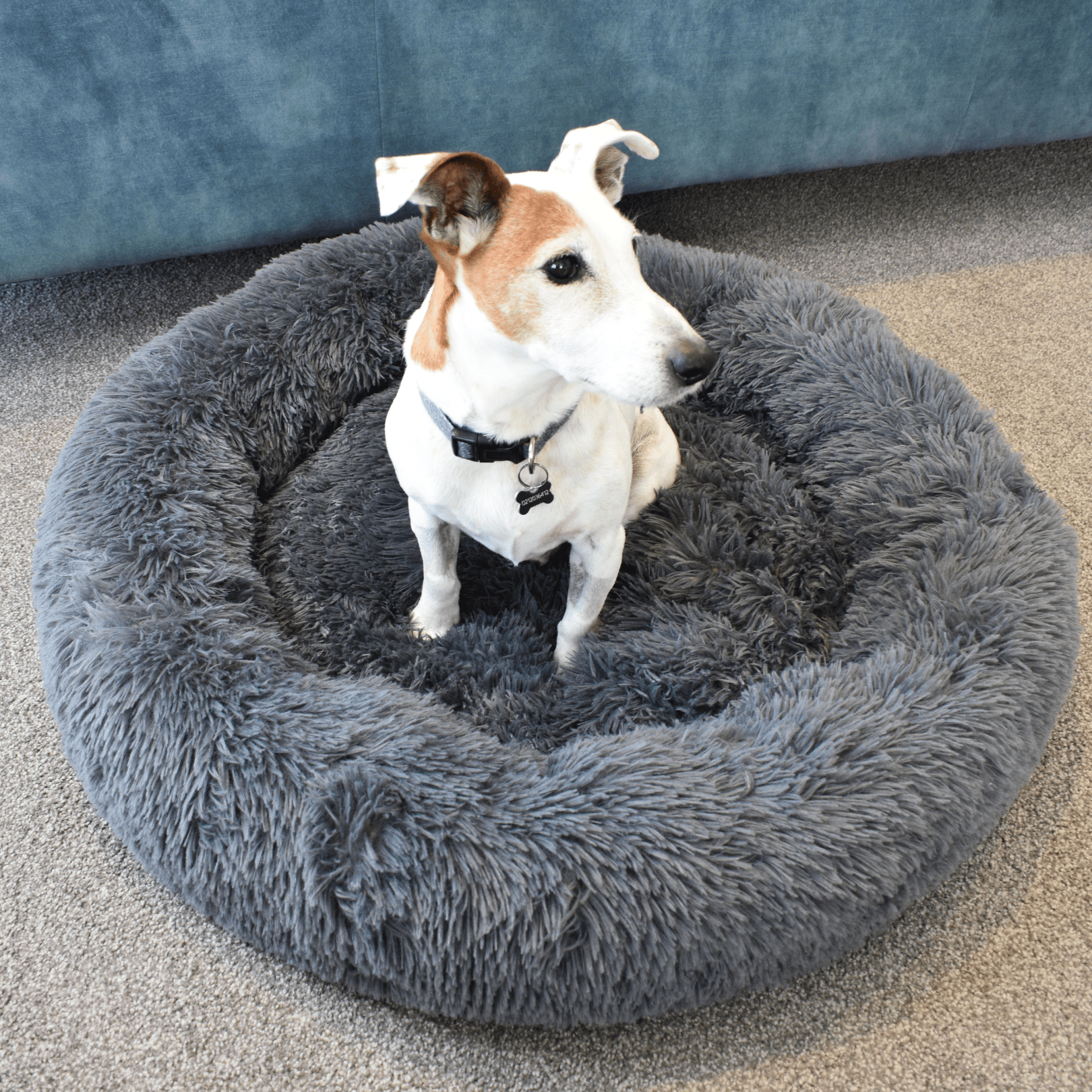 Calming Doughnut Bed - Holly's Paws