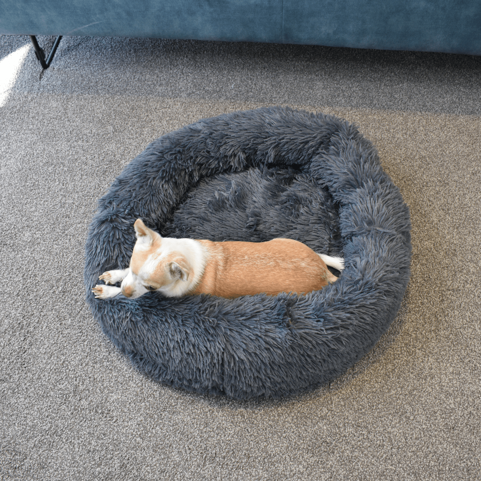 Calming Doughnut Bed - Holly's Paws