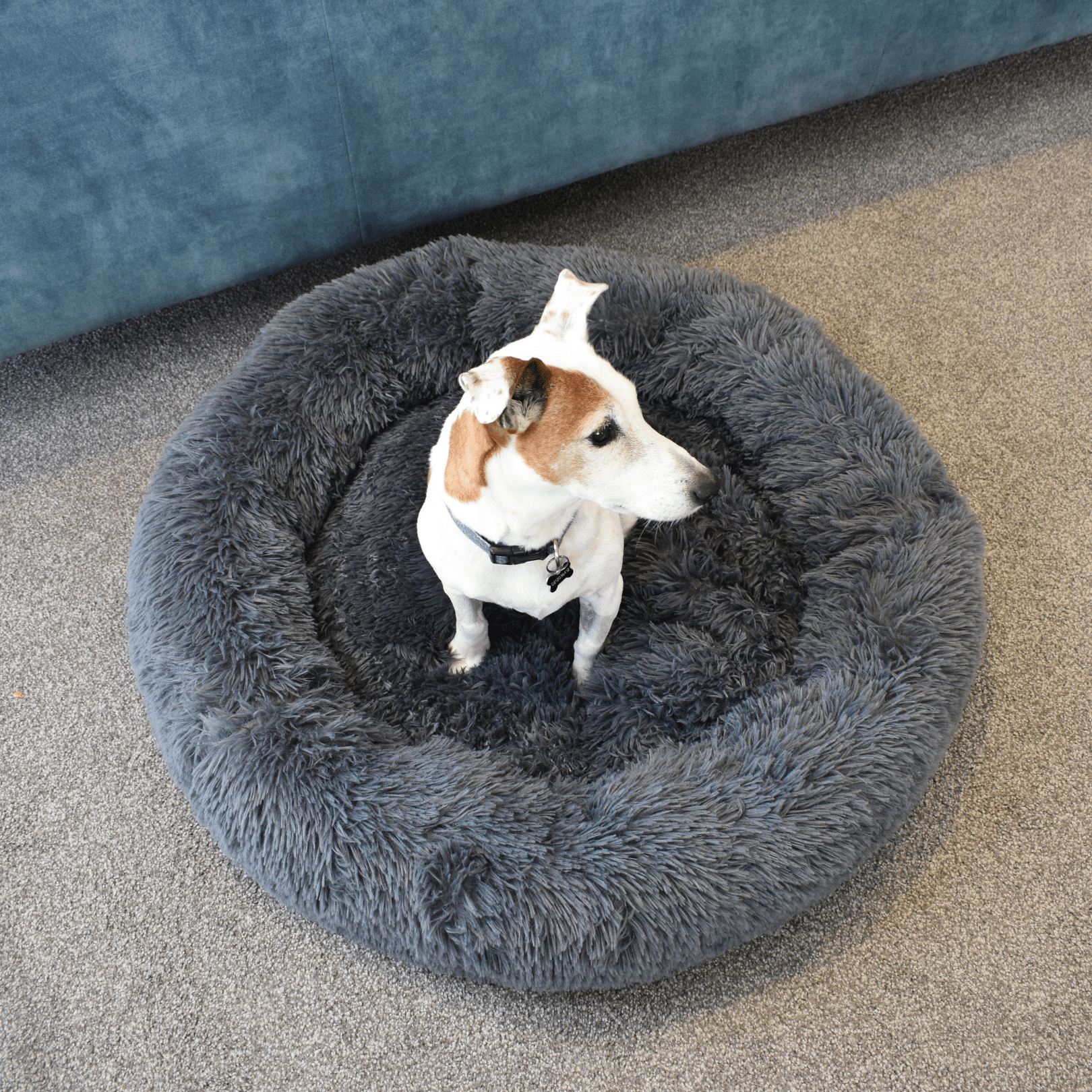 Calming Doughnut Bed - Holly's Paws