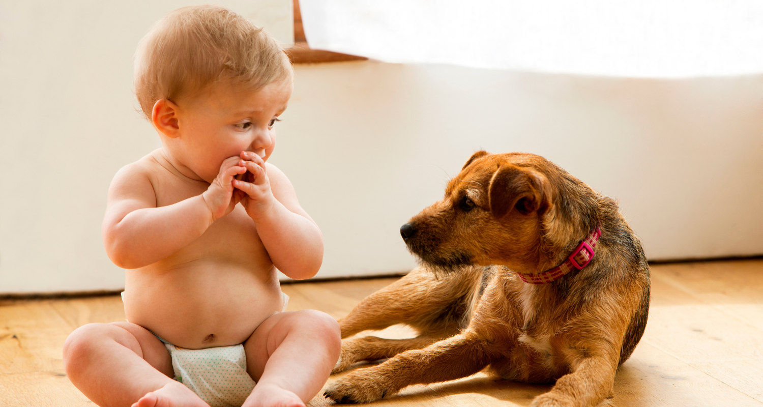 Perfect Pals: Best Dog Breeds for Families with Young Children