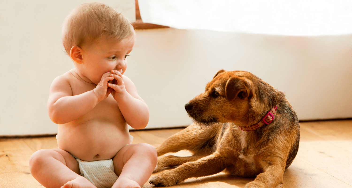 Perfect Pals: Best Dog Breeds for Families with Young Children - Holly's Paws