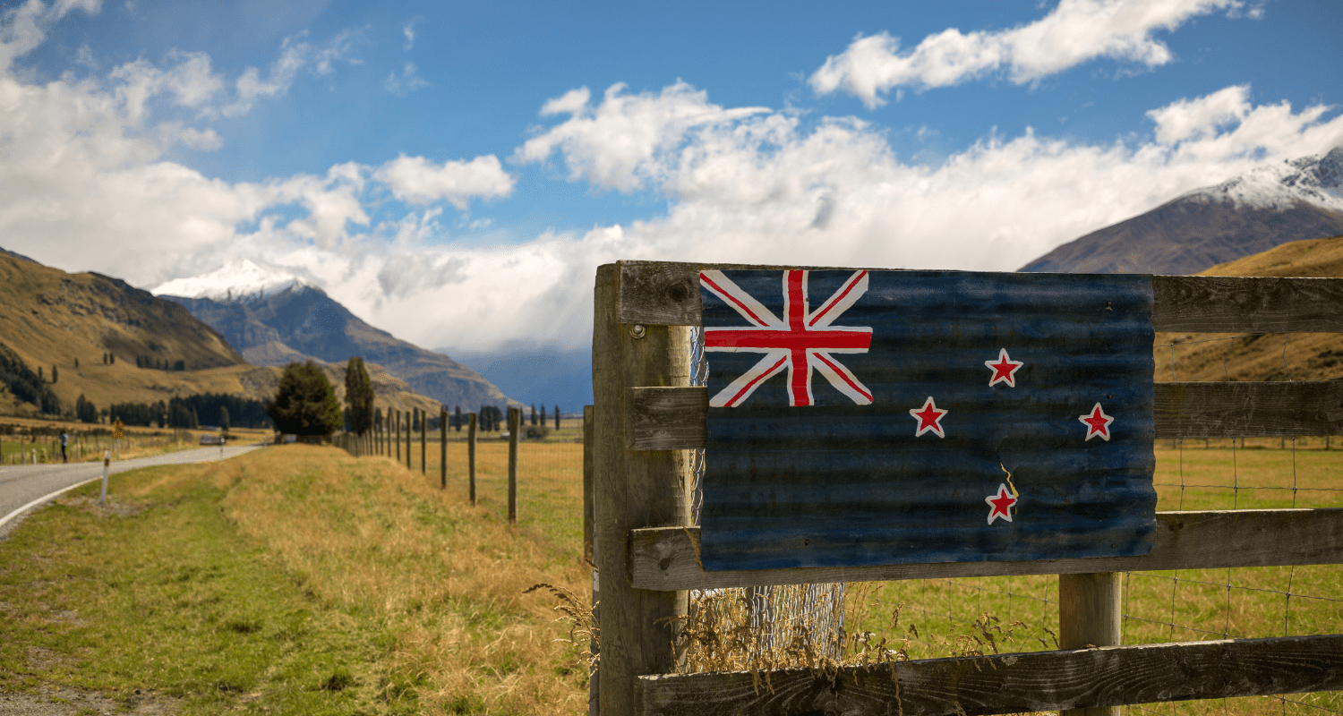 Why Memory Foam Dog Beds Are Ideal for New Zealand's Four-Season Climate - Holly's Paws
