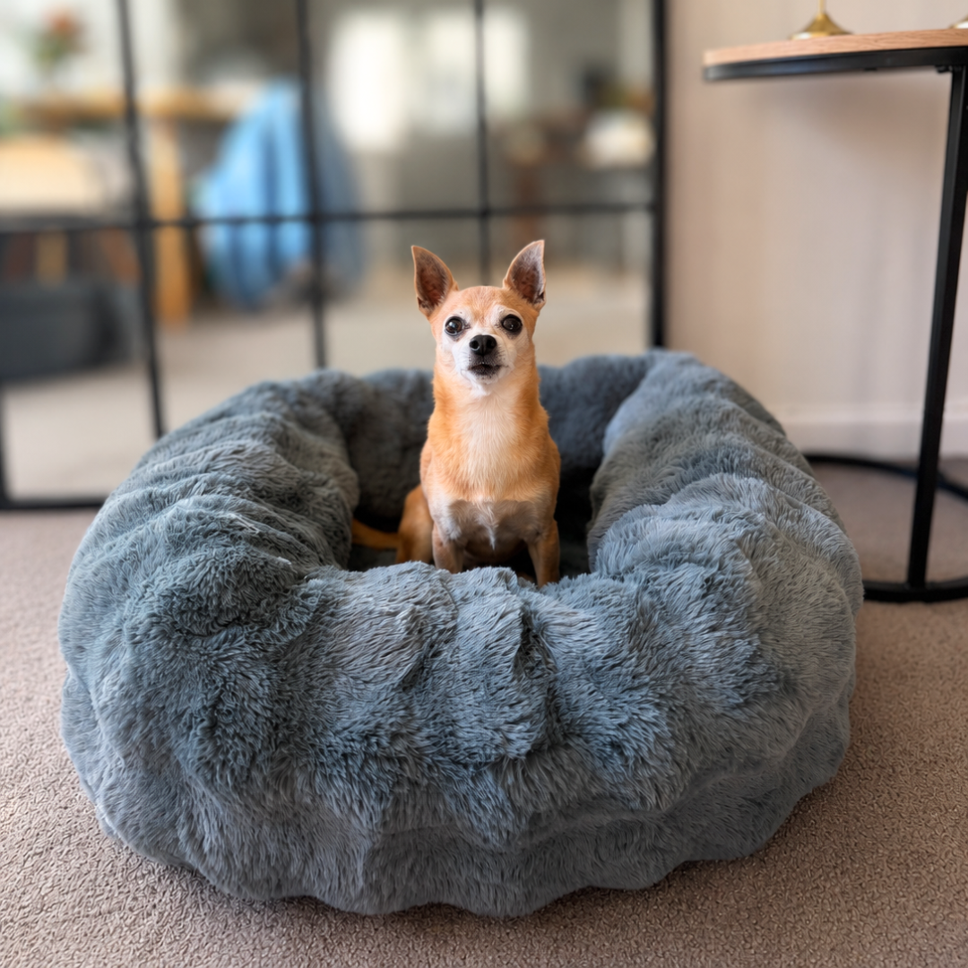 Calming Car Bed