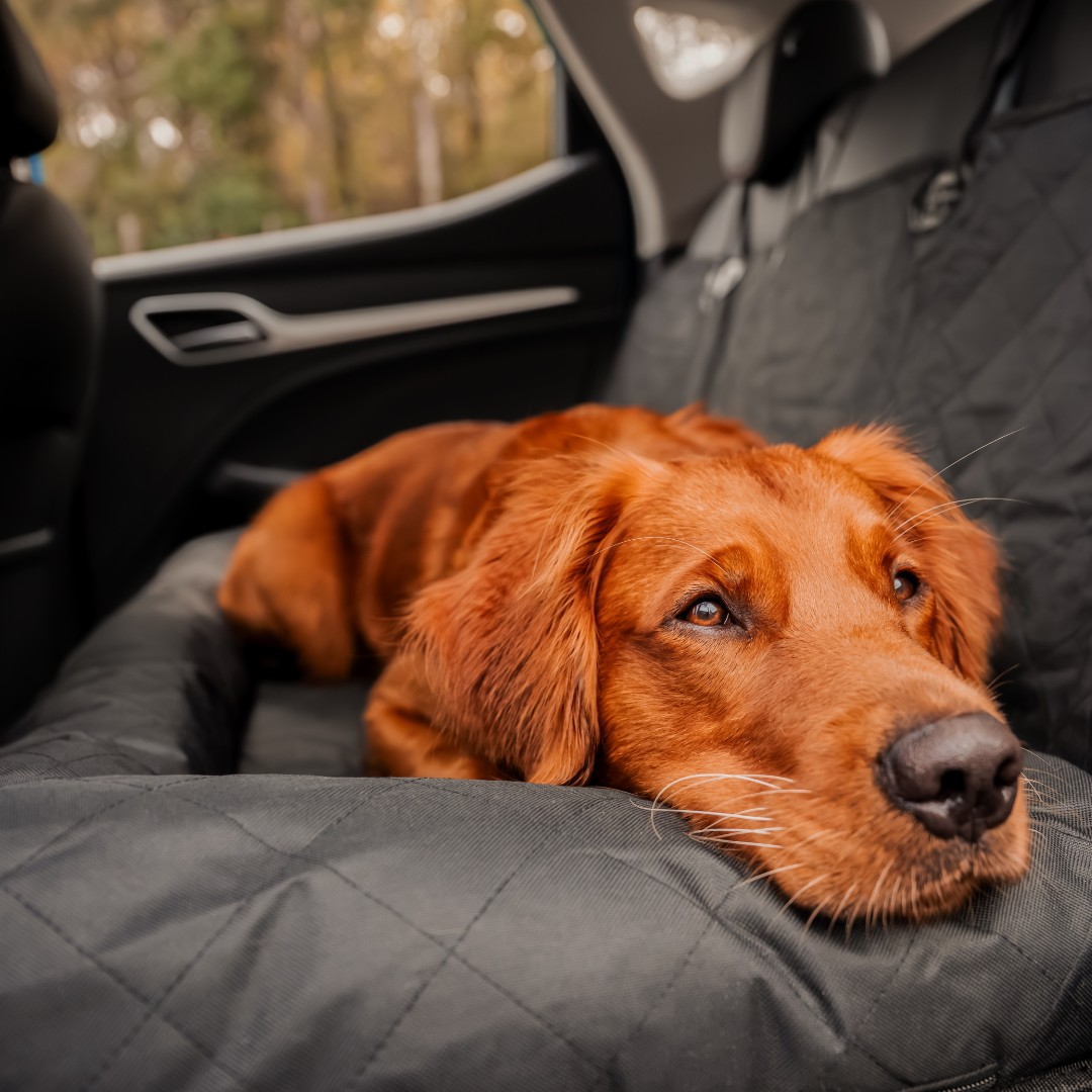 Car Seat Cover