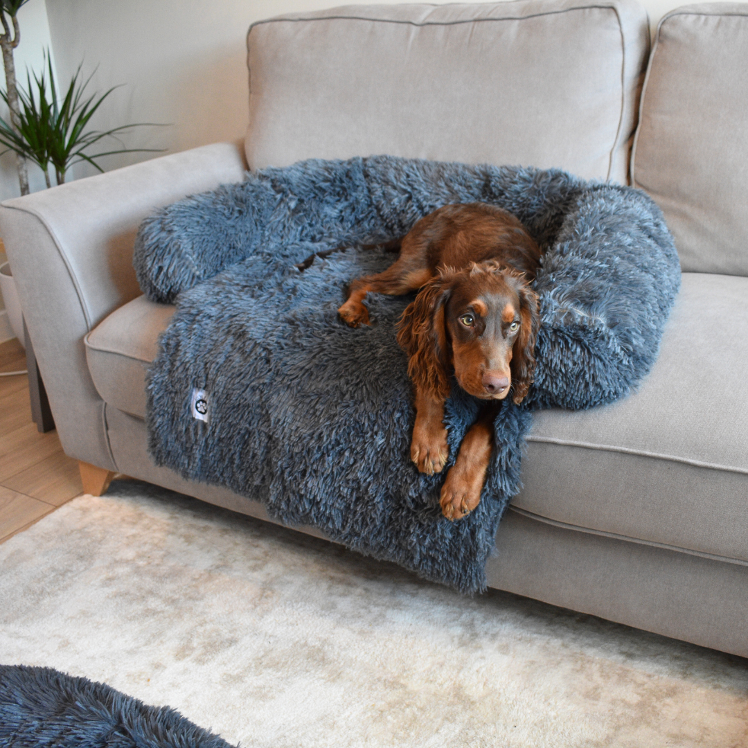 Calming Couch Bed