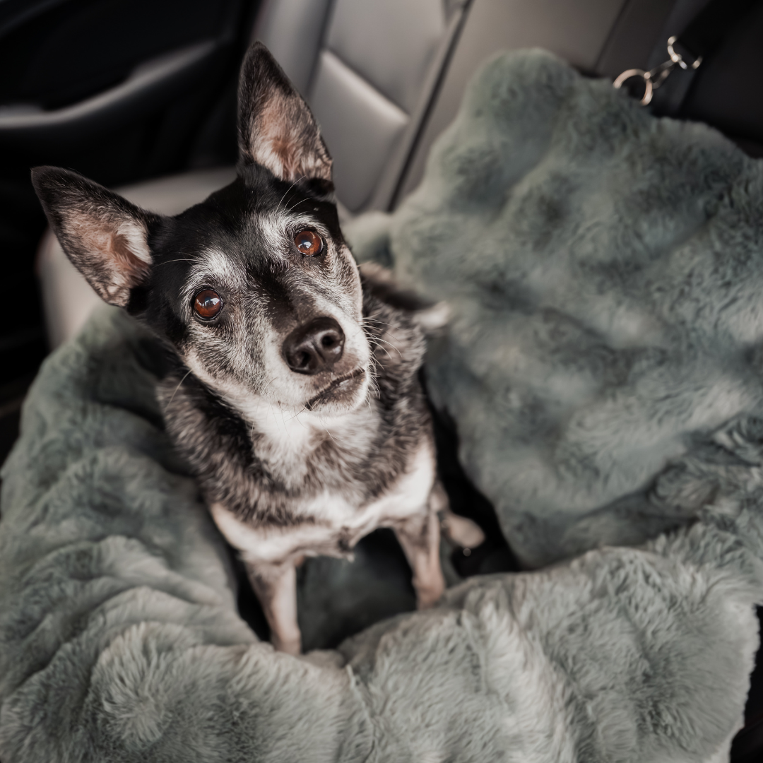 Calming Car Bed