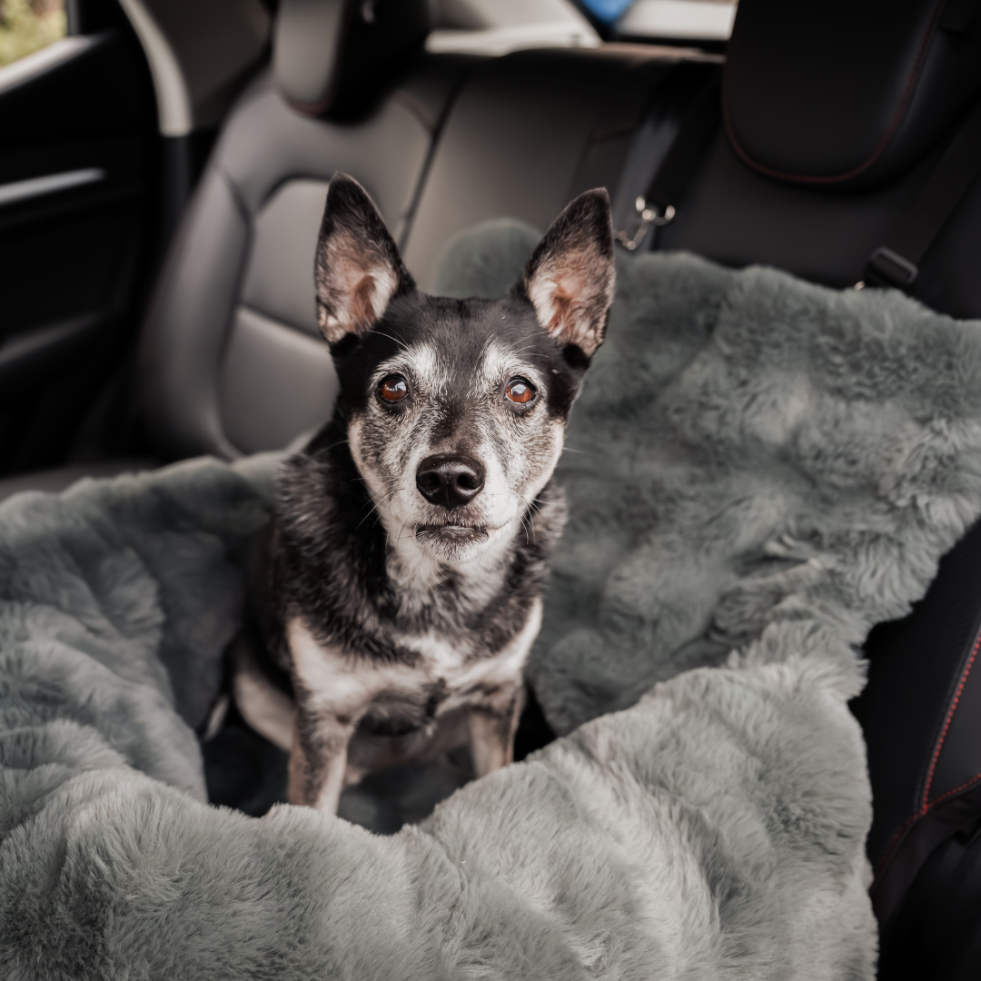 Calming Car Bed