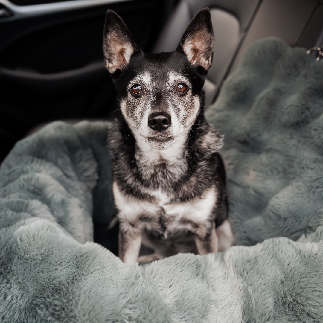Calming Car Bed