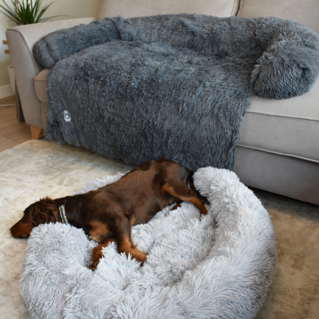 Abby space calming pet bed top