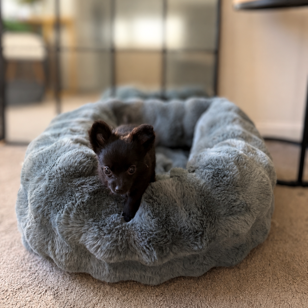 Calming Car Bed