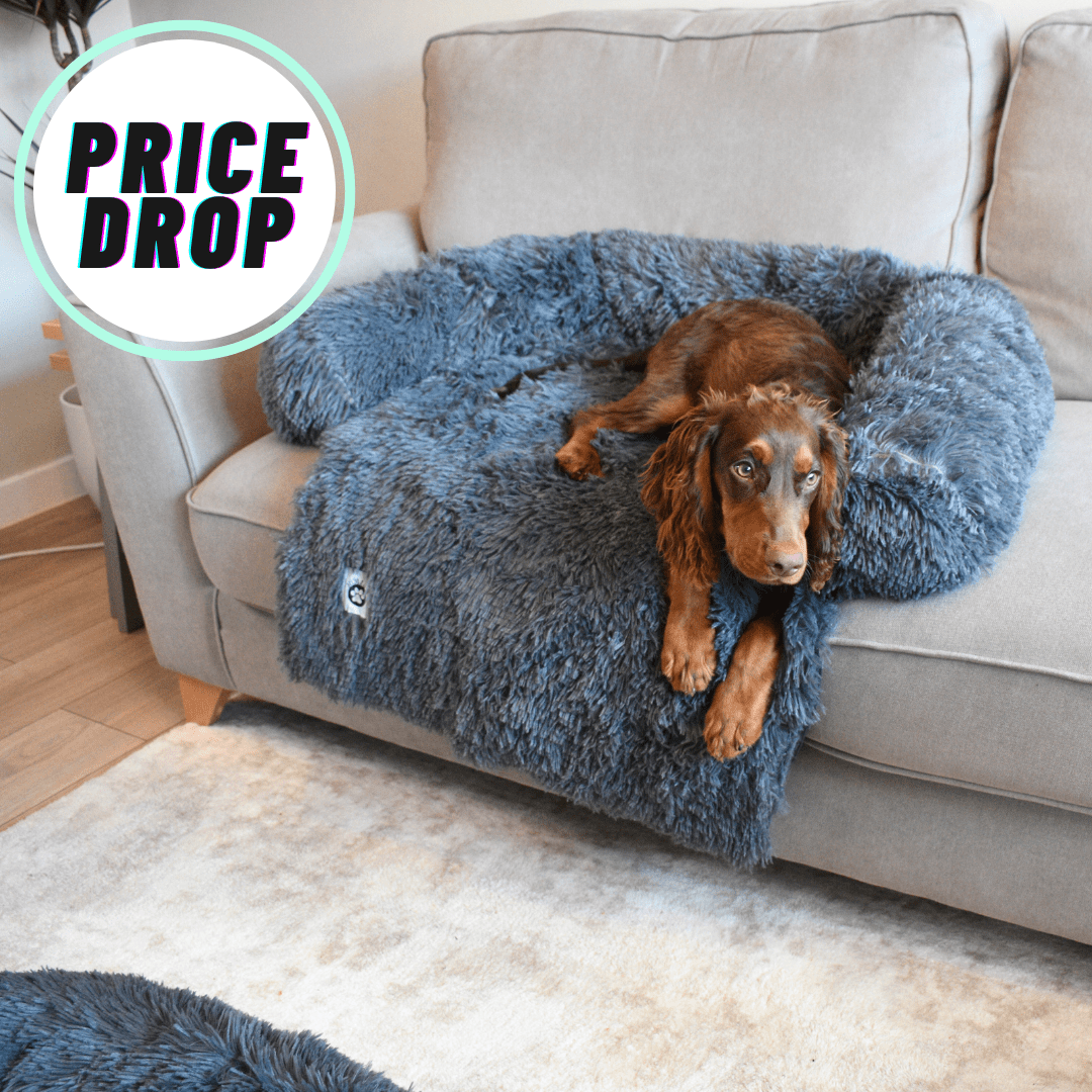 Calming Couch Bed - Holly's Paws