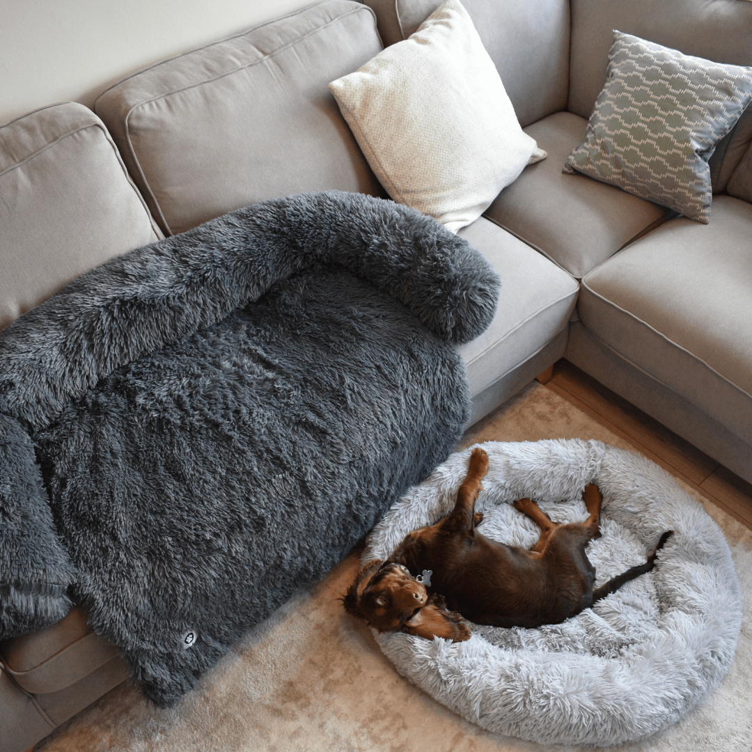 Calming Doughnut Bed - Holly's Paws