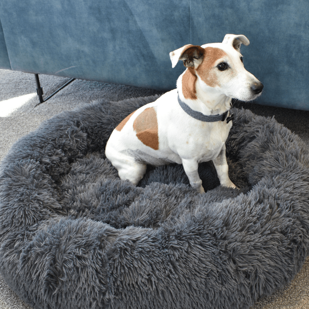 Calming Doughnut Bed - Holly's Paws