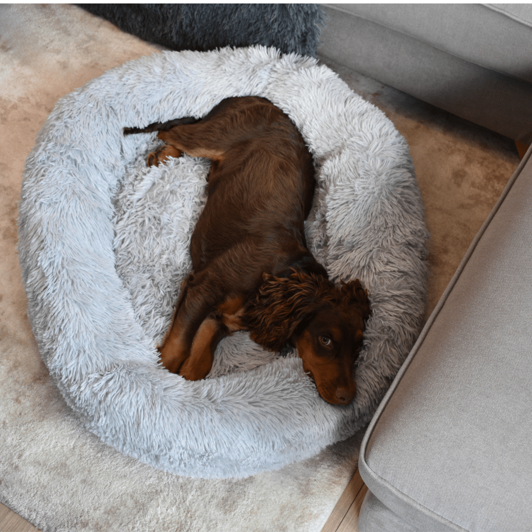 Calming Doughnut Bed - Holly's Paws