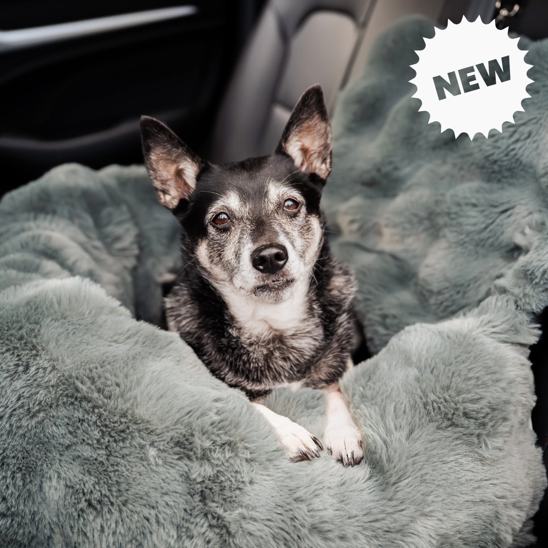 Calming Car Bed