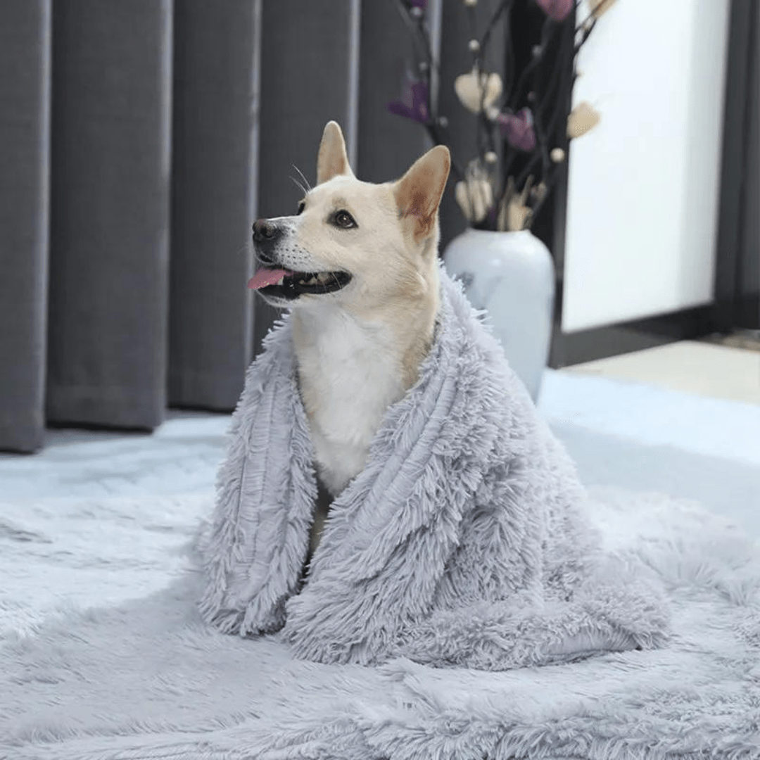 Matching Calming Blanket - Holly's Paws