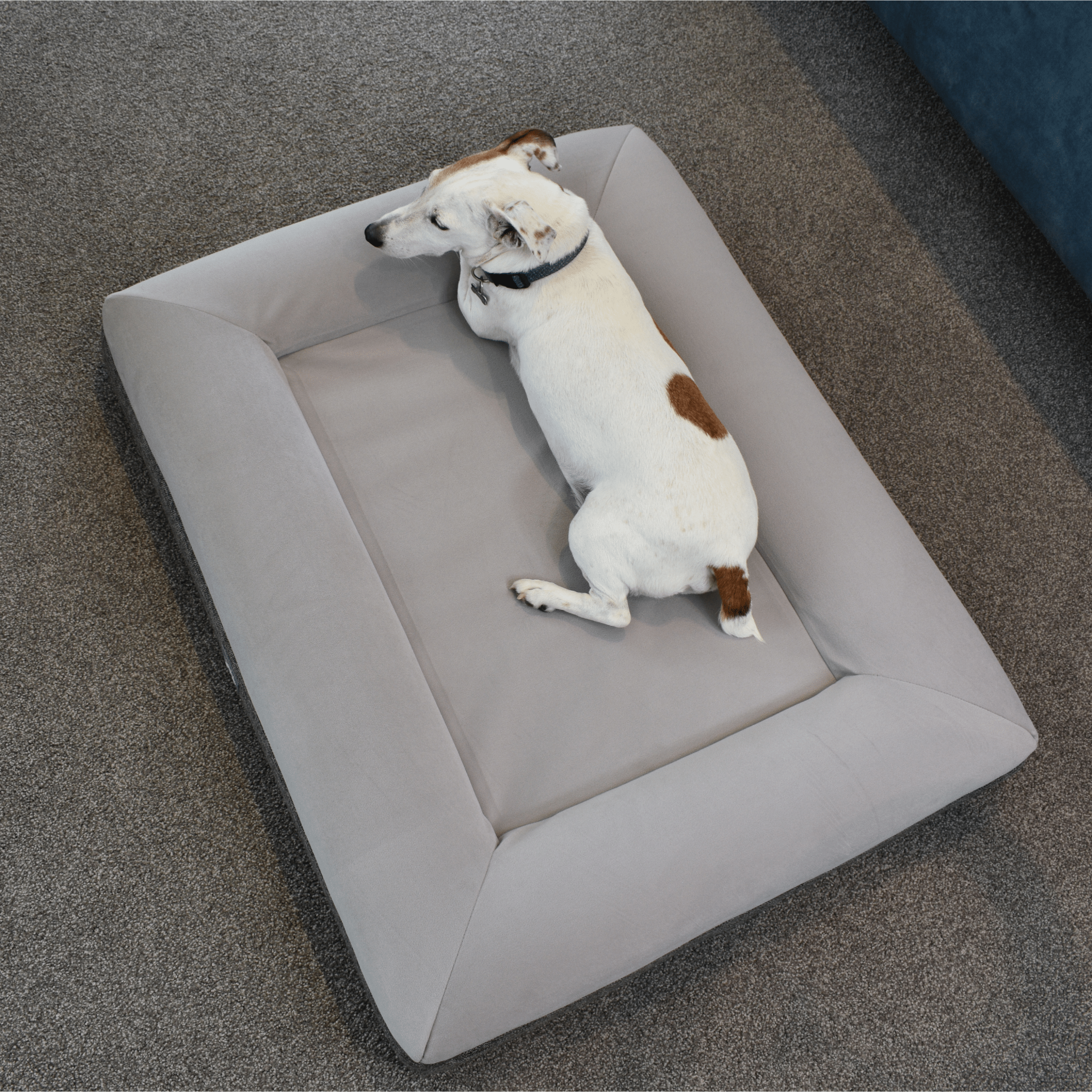 (Spare Cover) Orthopaedic Memory Foam Bed - Holly's Paws