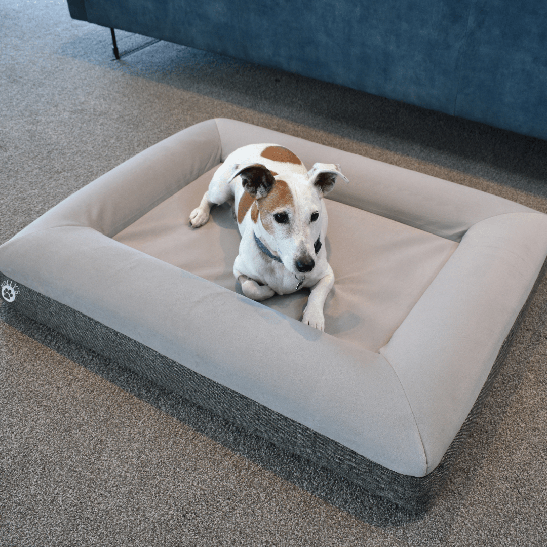 (Spare Cover) Orthopaedic Memory Foam Bed - Holly's Paws