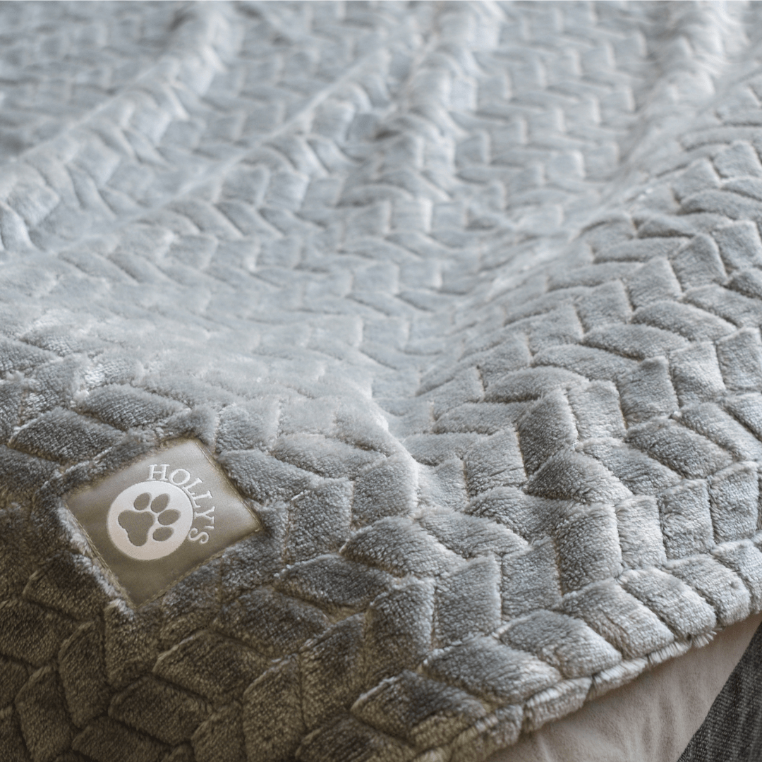Velvet Bliss Blanket - Holly's Paws