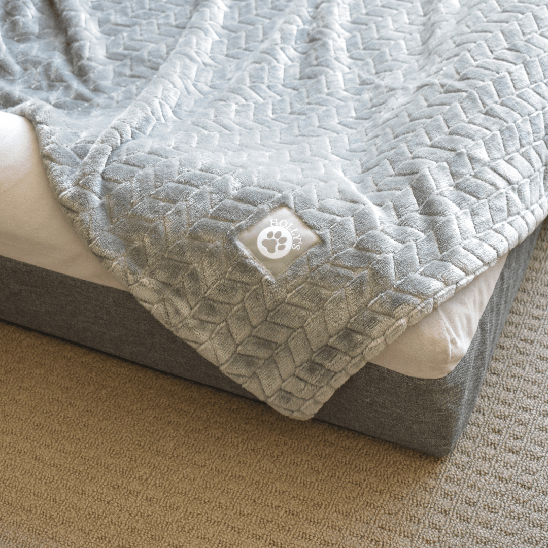 Velvet Bliss Blanket - Holly's Paws
